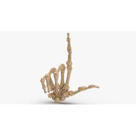 3D模型-3D Real Human Hand Bones Loser Sign
